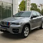 BMW X6 2012 из Китая