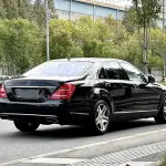 Mercedes-Benz S-Class 2009 из Китая