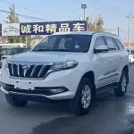 Foday Landfort 2019 из Китая