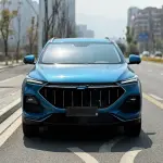 Oshan Oushang X5 2021 из Китая