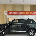 Hongqi Hongqi HS5 2022 из Китая