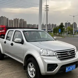 Great Wall Fengjun 5 2020 из Китая