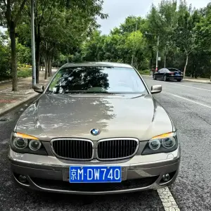 BMW 7 Series 2007 306 л.с. — лот 55303531 из Китая