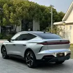 Rising Auto Feifan R7 2022 из Китая