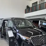 Mercedes-Benz V-Class 2025 из Китая