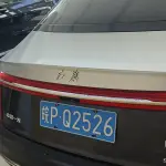Hongqi Hongqi H9 2020 из Китая