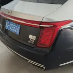 Hongqi Hongqi H9 2020 из Китая