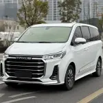 大通 G20 2021 из Китая