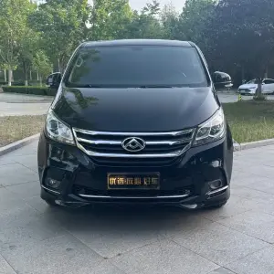 大通 G10 2019 из Китая