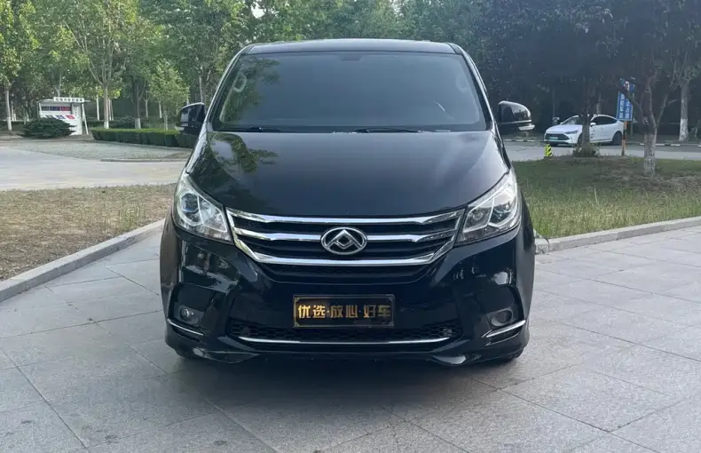大通 G10 2019 из Китая