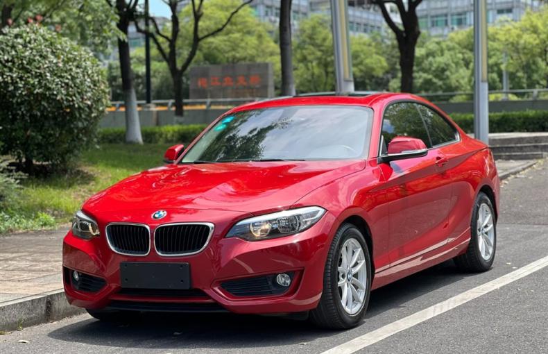 BMW 2 Series (Import) 2016 из Китая