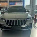 Hongqi Hongqi HS5 2023 из Китая