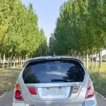 Suzuki Liana 2008 из Китая