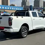 Great Wall Pao 2023 из Китая