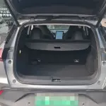 XPeng G3 2020 из Китая