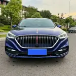 Hongqi Hongqi H5 2020 169 л.с. из Китая