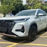 Chery Tiggo 8 PRO 2023 197 л.с. из Китая