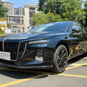 Hongqi Hongqi H5 2024 169 л.с. — лот 56493525 из Китая