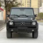 Mercedes-Benz G-Class 2011 из Китая