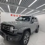 Tank Tank 300 2022 227 л.с. — лот 56520324 из Китая