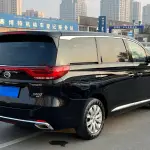 GAC Motor Trumpchi M8 2018 из Китая