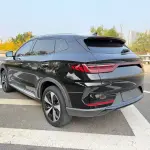 BYD PLUS New Energy 2022 из Китая