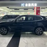 BMW X3 2022 из Китая