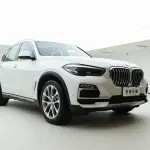 BMW X5 (Import) 2020 из Китая