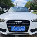 Audi A5 (Import) 2013 из Китая