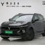 VOYAH Zhiyin 2024 из Китая