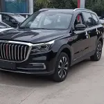 Hongqi Hongqi HS7 2020 из Китая