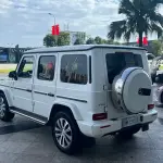 Mercedes-Benz G-Class 2019 из Китая