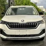 Skoda Kamiq 2021 из Китая