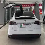 Tesla Model X 2019 из Китая