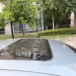 Audi S8 2009 из Китая