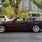 BMW 3 Series (Import) 2010 из Китая