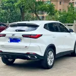 Oshan Oushang X5 2021 из Китая
