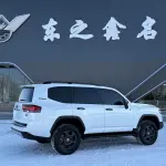 Toyota Land Cruiser 2025 лот 57133251 из Китая