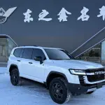 Toyota Land Cruiser 2025 лот 57133251 из Китая