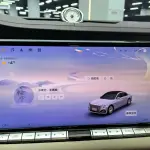 Hongqi 红旗金葵花国雅 2024 из Китая