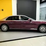 Hongqi 红旗金葵花国雅 2024 из Китая