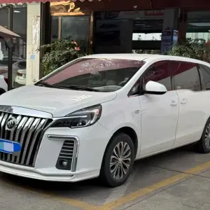 Buick GL8 2020 237 л.с. — лот 57036004 из Китая