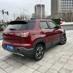 Bisu Bisu T3 2018 из Китая