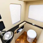 Hongqi 红旗金葵花国悦 из Китая
