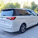 Buick GL8 2021 из Китая