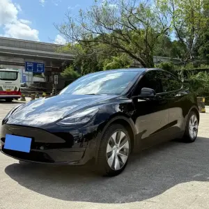 Tesla Model Y 2022 264 л.с. — лот 56820552 из Китая