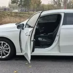Mercedes-Benz A-Class 2022 из Китая