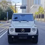 Mercedes-Benz G-Class 2012 из Китая