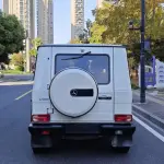 Mercedes-Benz G-Class 2012 из Китая