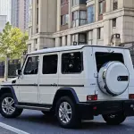 Mercedes-Benz G-Class 2012 из Китая
